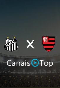 Santos x Flamengo – Ao Vivo – 08/10/2026 – 19h30